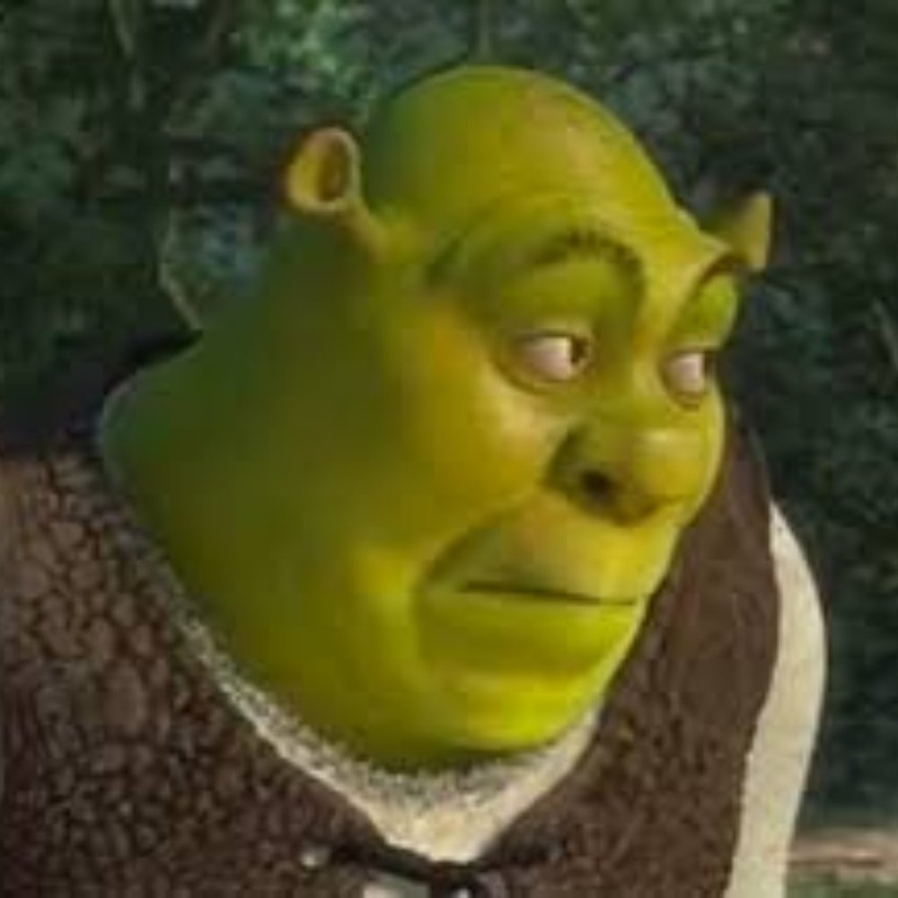 Meet your Posher, Libby